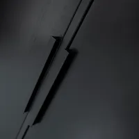 WOOOD Adam 2-Deurs Kast Grenen Zwart